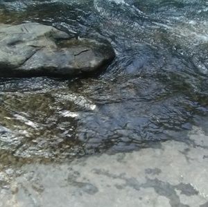 Meet your Posher, Sean